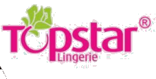 Top Star logo